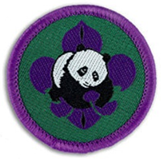World Scout Conservation Award_gn.jpg