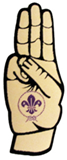 World Scout Promise Badge.jpg