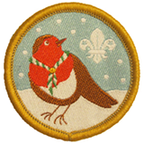 Christmas appeal Badge.jpg