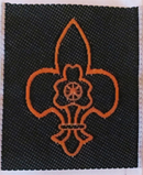 India - Bharat_Scouts_and_Guides_2.jpg