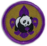 World Scout Conservation Award_br.jpg